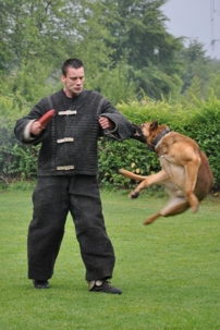 dog training to attack