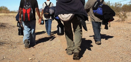 wokers walking in a field